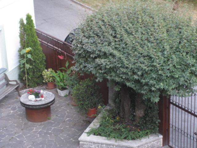Ferienwohnung Lienz Egger Екстер'єр фото